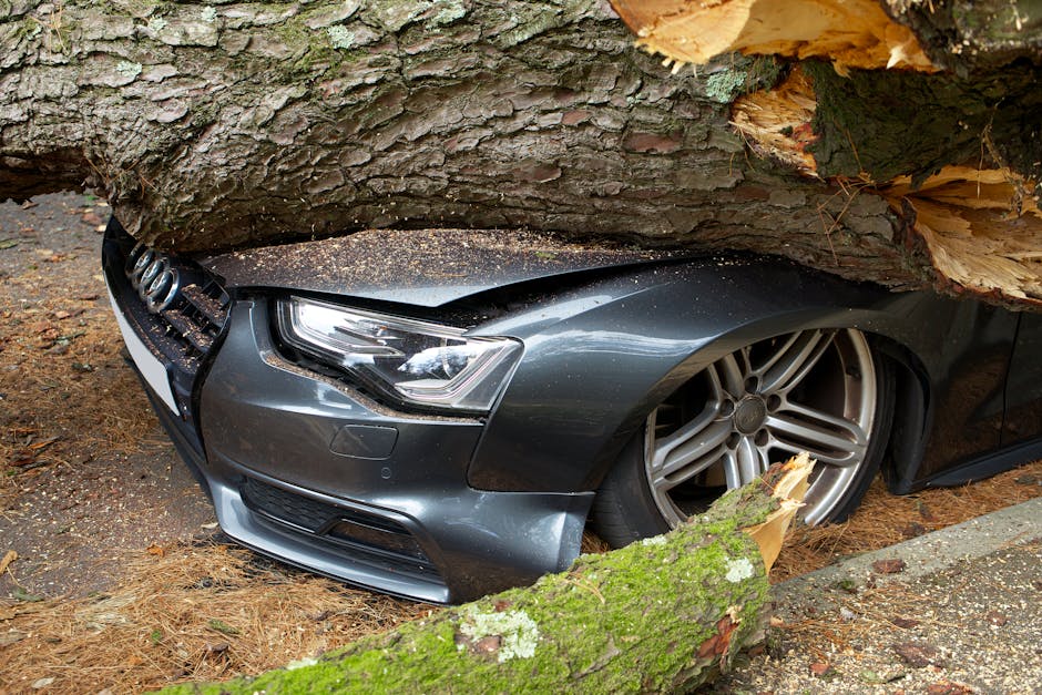A dark grey Audi car has collided with a large, fallen tree across a paved street, with the front end of the vehicle partially buried beneath the thick trunk and branches. The vehicle's front bumper, grille, and right headlight are visible, showing slight damage from the impact. The fallen tree has bark and leaves still attached, and the crash scene is outdoors, with natural light illuminating the area. The car appears to be stationary, possibly involved in an emergency situation during a house or flat clearance process managed by Man With a Van East Ham, as it is situated near a property or on a residential street. The image captures the moment of the collision in a natural environment, emphasizing the importance of safe vehicle transport and quick response in relocation logistics.