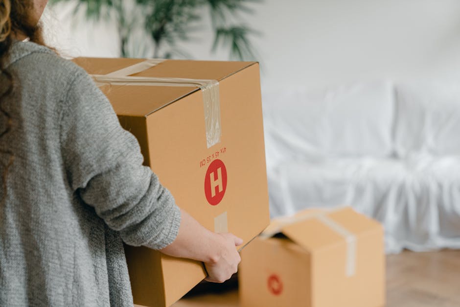 Two individuals inside a residential room preparing for home relocation, each holding a cardboard box for furniture transport. The man with long dark hair and a beard is wearing a dark grey t-shirt an